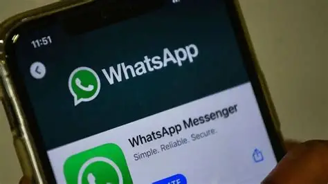 WhatsApp照片总塞爆手机?3招设置自动归档