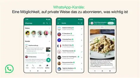 轻松解决WhatsApp图片下载难题,实用教程看过来!