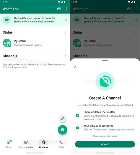 WhatsApp新手必看:从注册到隐私保护的完整攻略